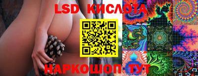 гашик Славянск-на-Кубани